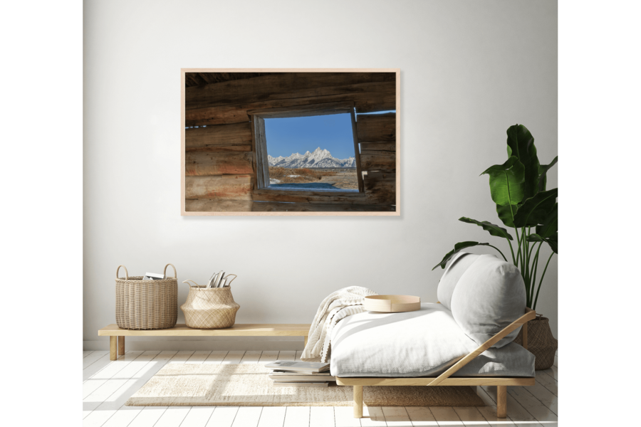 Picture Perfect - Image 5