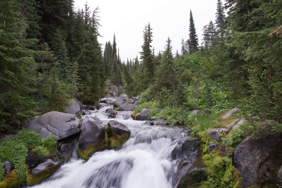 Pebble Creek
